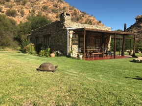 Baviaanskloof Duiwekloof Lodge